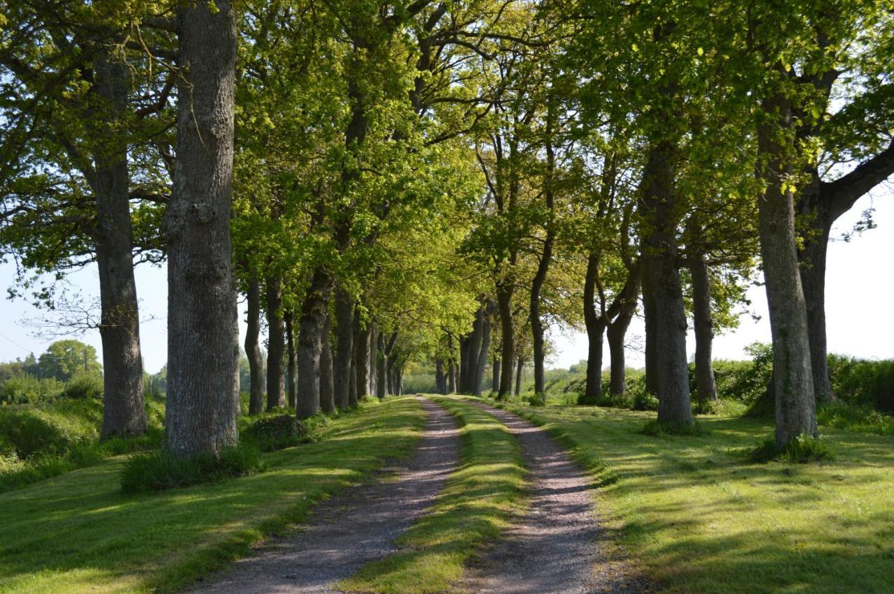 Domaine La Synchronicite - Et D'hotes Saint-Sauveur-Villages